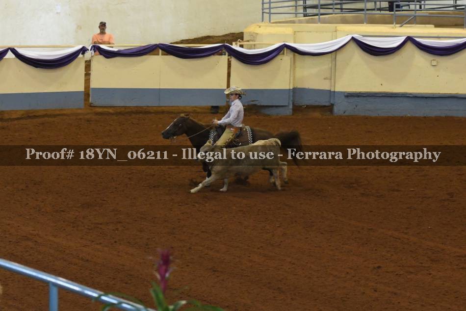 Proof Number 18YN_06211
