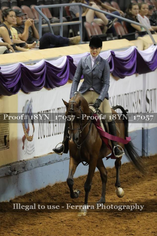 Proof Number 18YN_17057