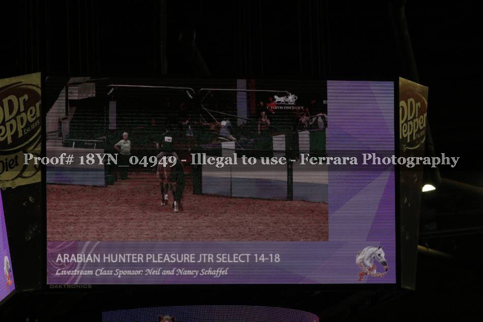 Proof Number 18YN_04949