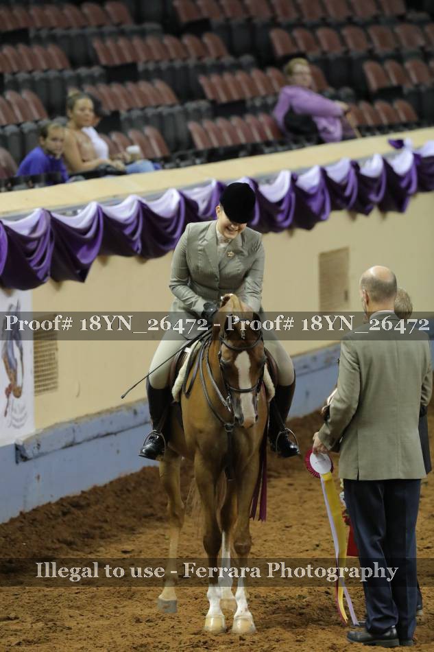 Proof Number 18YN_26472
