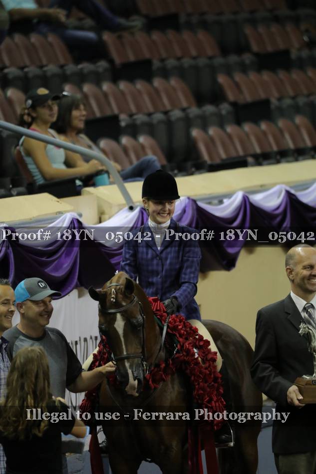 Proof Number 18YN_05042
