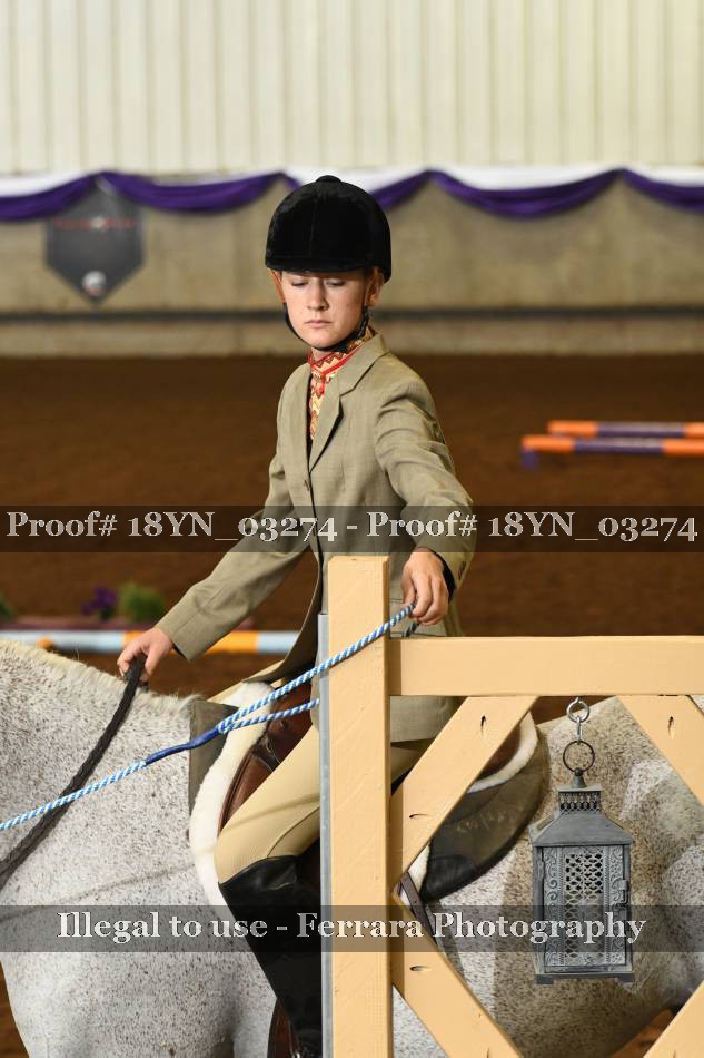 Proof Number 18YN_03274