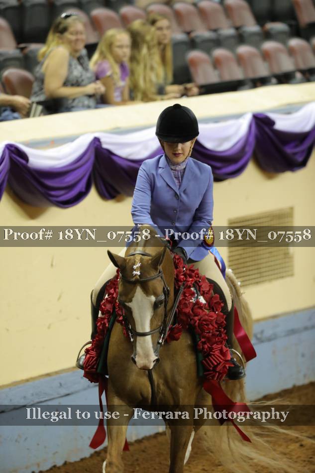 Proof Number 18YN_07558
