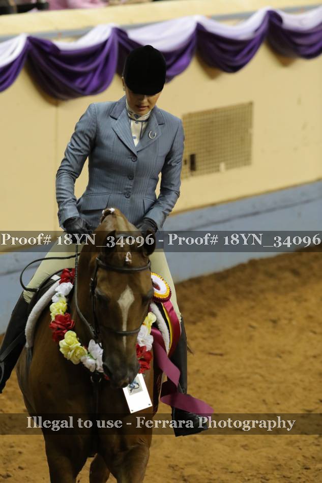Proof Number 18YN_34096