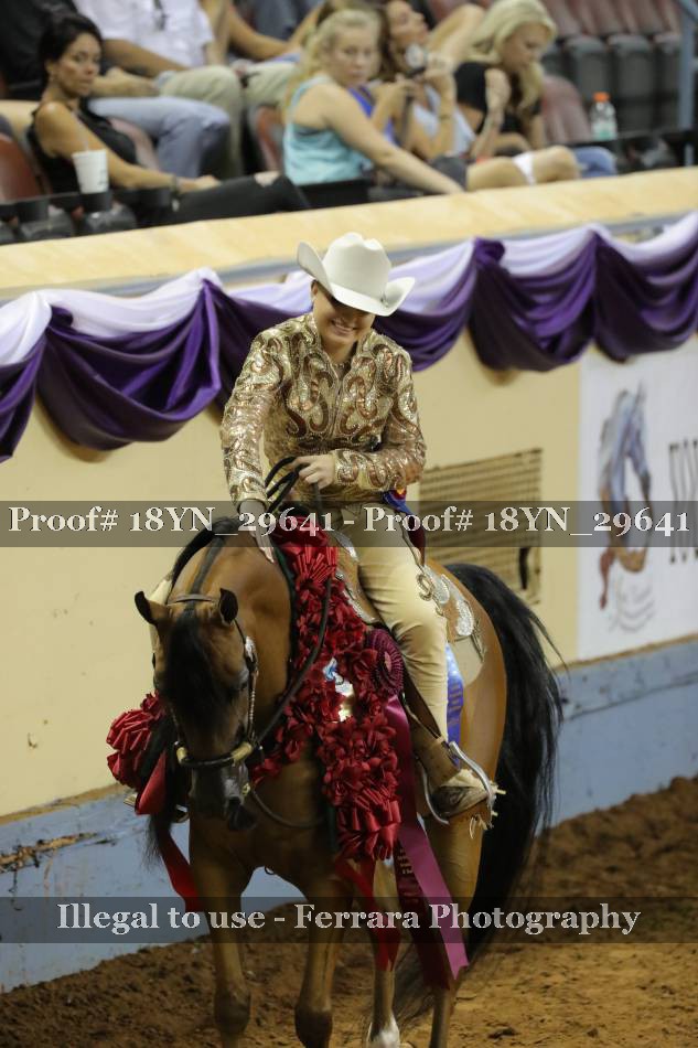 Proof Number 18YN_29641