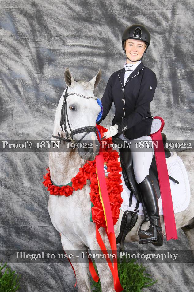 Proof Number 18YN_19022