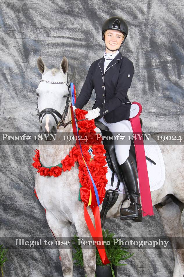 Proof Number 18YN_19024