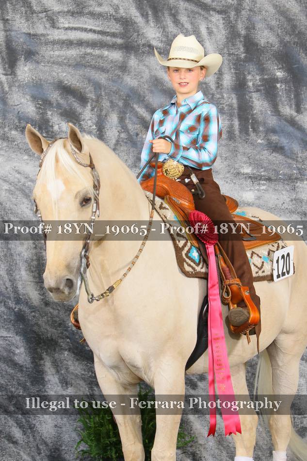 Proof Number 18YN_19065