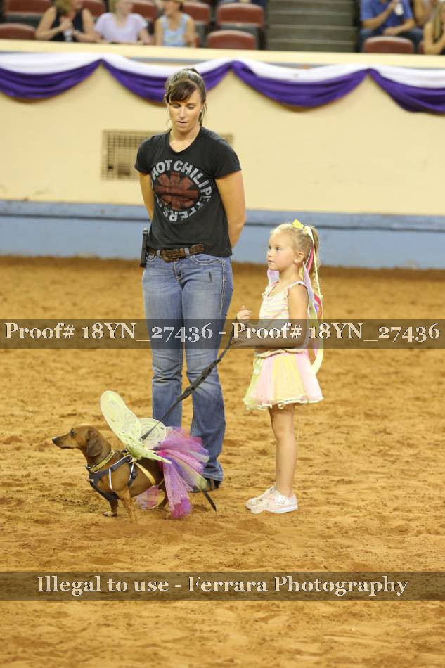 Proof Number 18YN_27436