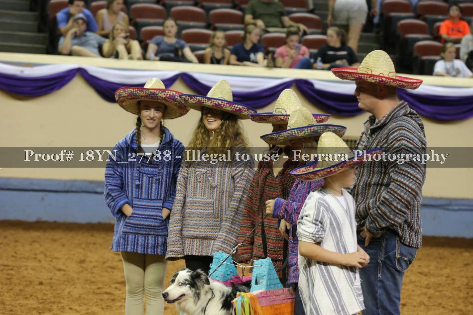 Proof Number 18YN_27788
