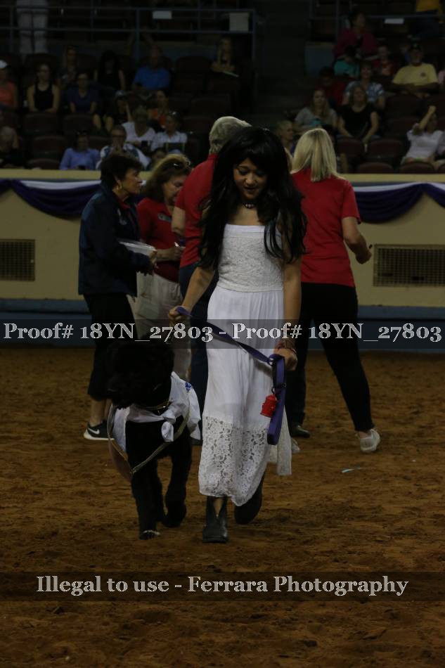 Proof Number 18YN_27803