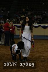 18YN_27805 thumbnail