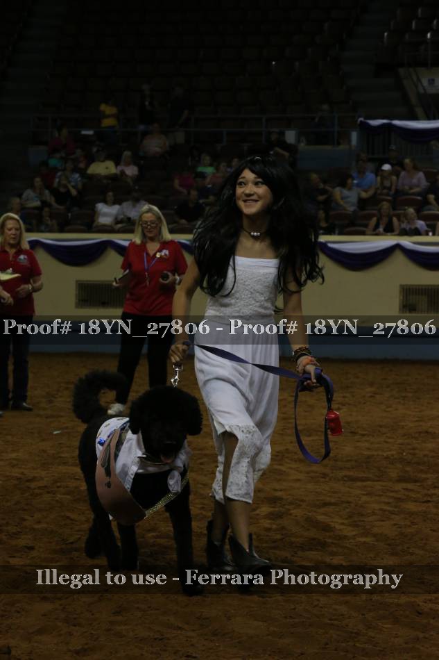 Proof Number 18YN_27806