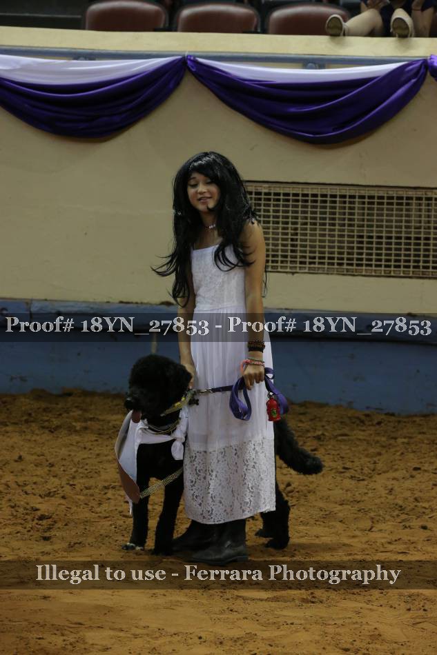 Proof Number 18YN_27853