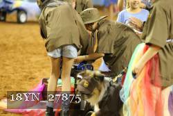 18YN_27875 thumbnail