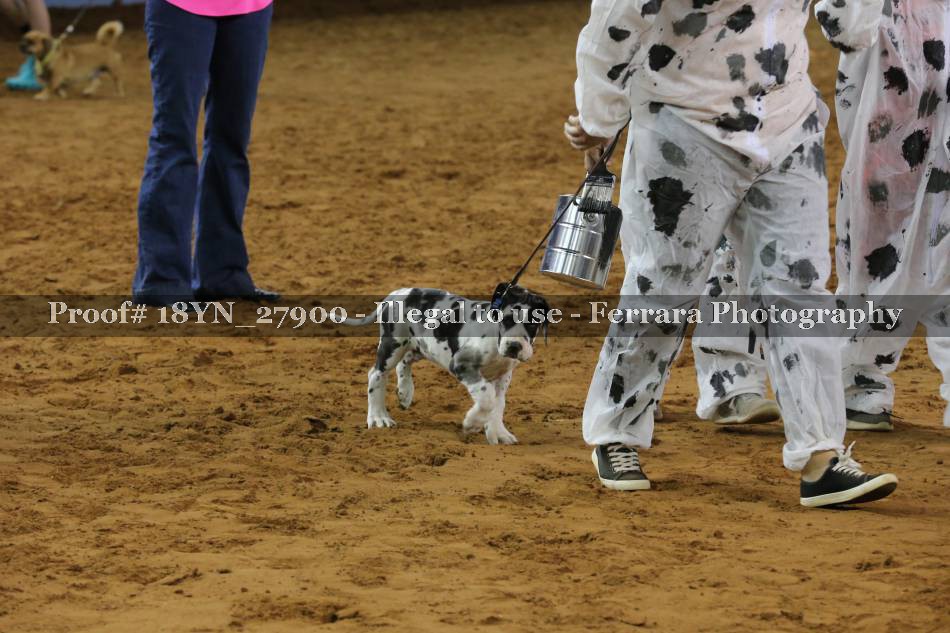 Proof Number 18YN_27900