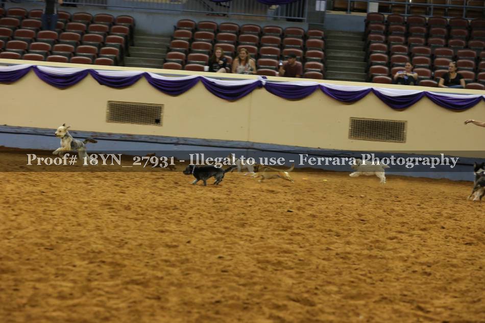 Proof Number 18YN_27931