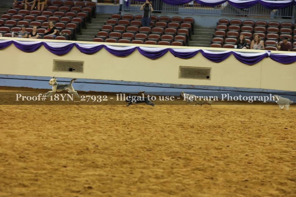 Proof Number 18YN_27932
