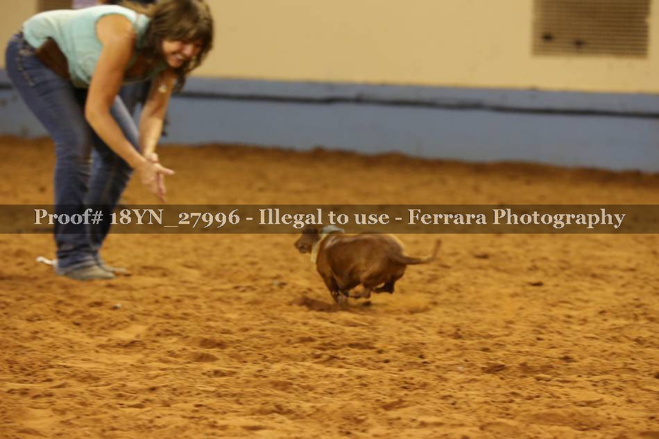 Proof Number 18YN_27996
