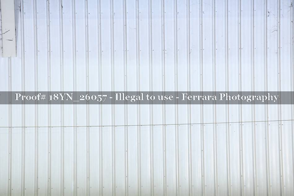 Proof Number 18YN_26057