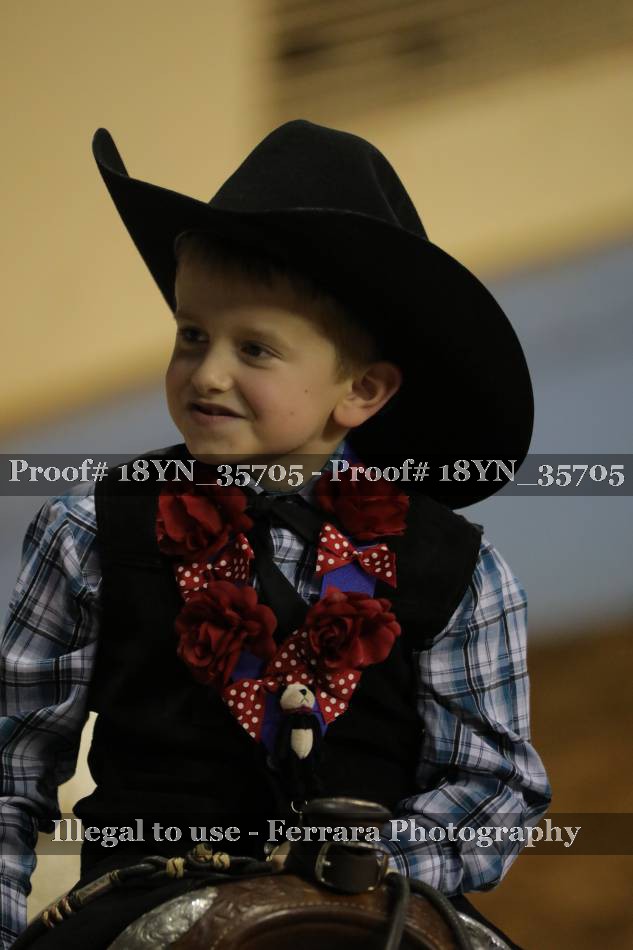 Proof Number 18YN_35705