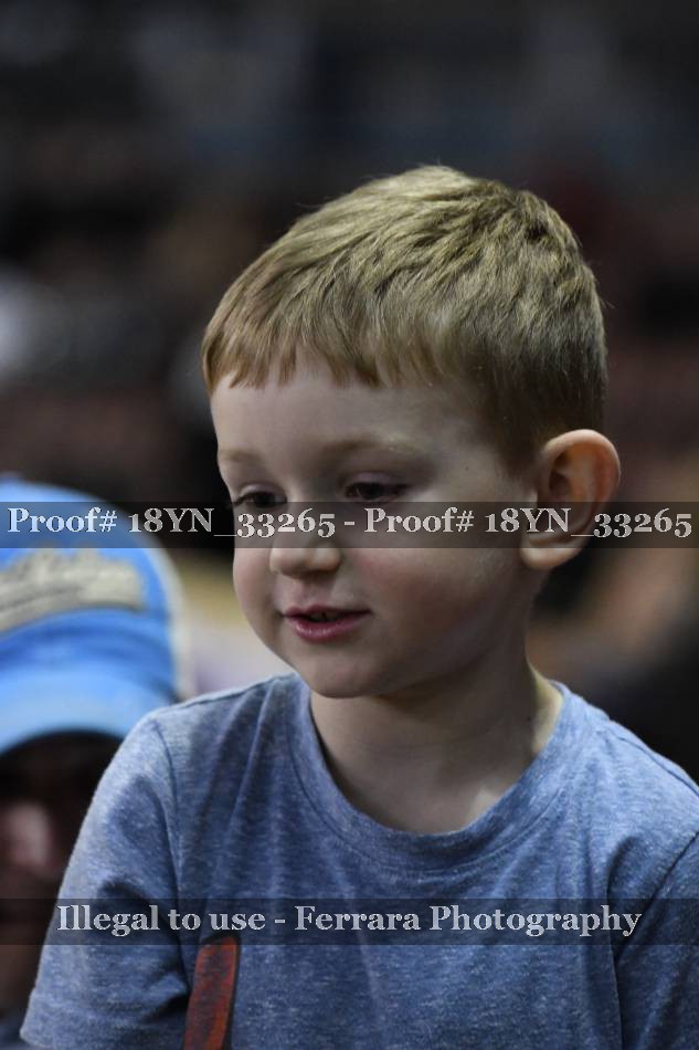 Proof Number 18YN_33265