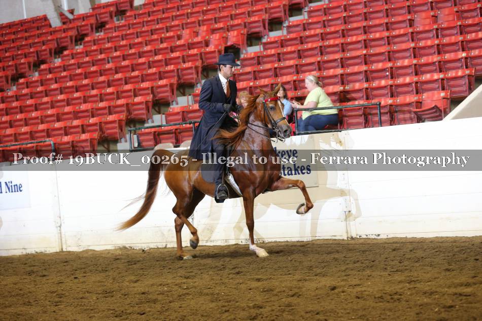 Proof Number 19BUCK_00265