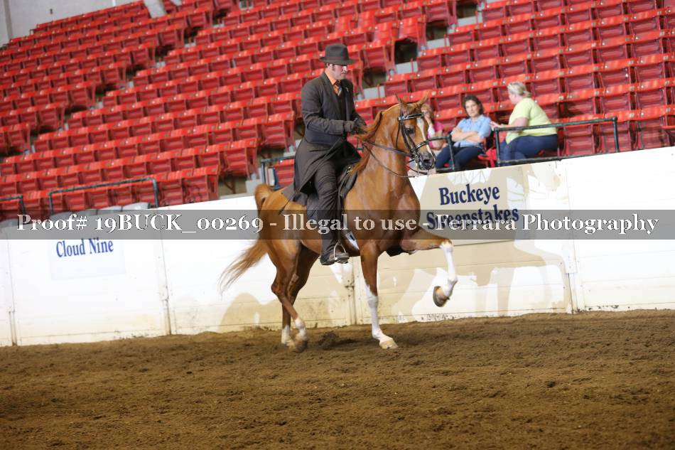 Proof Number 19BUCK_00269