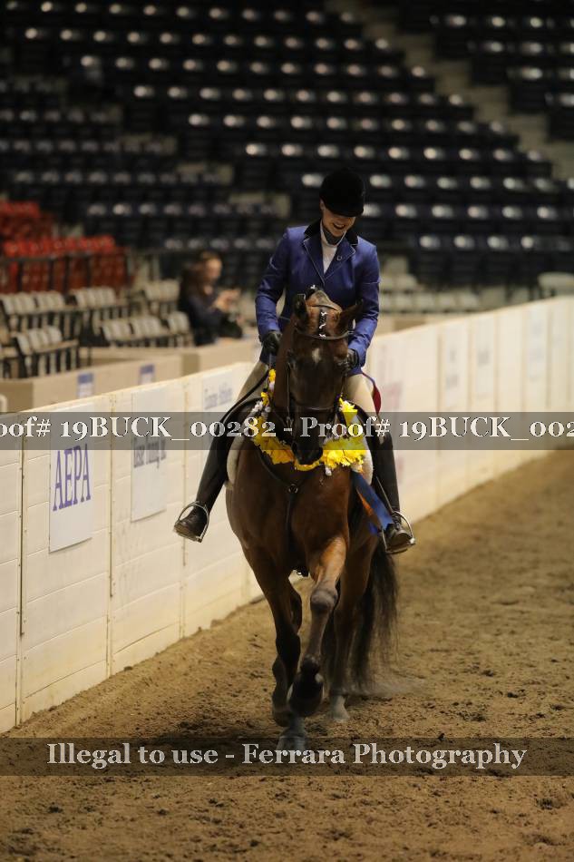 Proof Number 19BUCK_00282