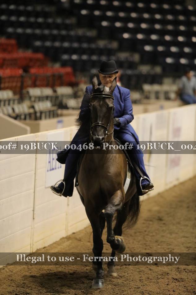Proof Number 19BUCK_00468