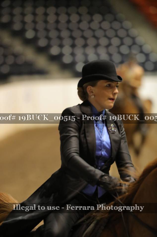 Proof Number 19BUCK_00515