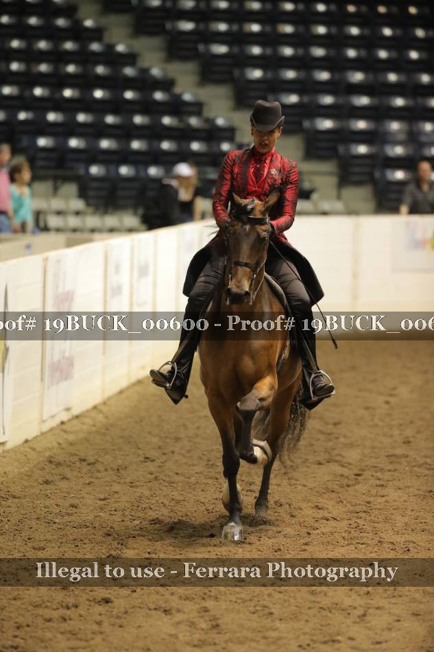 Proof Number 19BUCK_00600