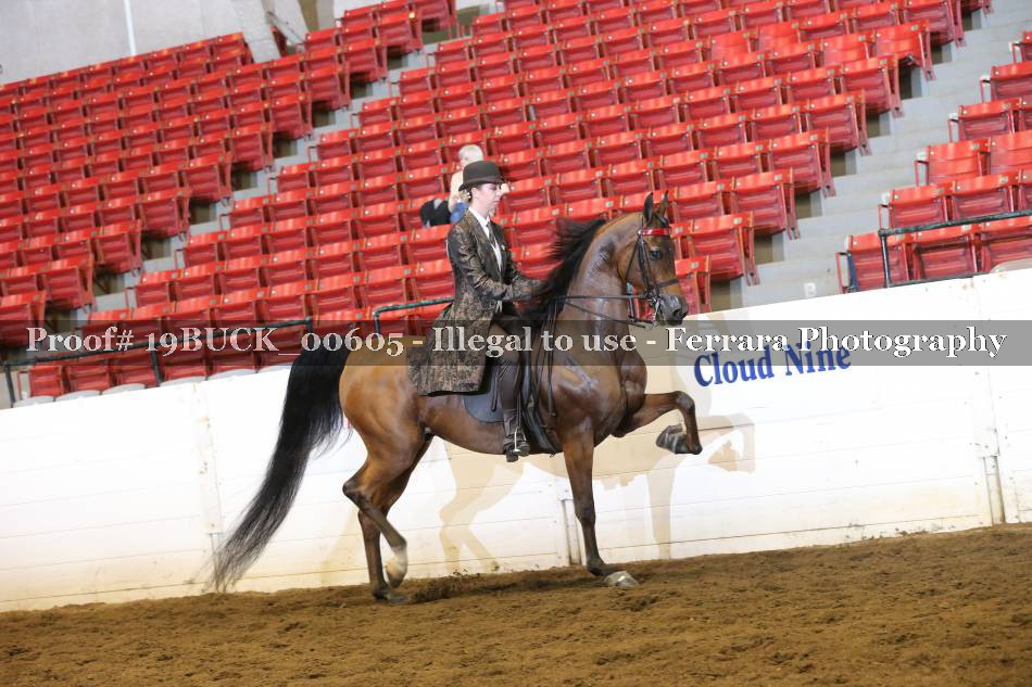 Proof Number 19BUCK_00605