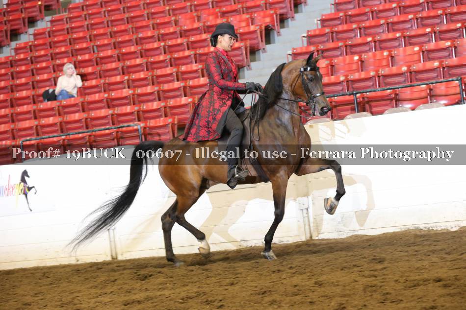 Proof Number 19BUCK_00607