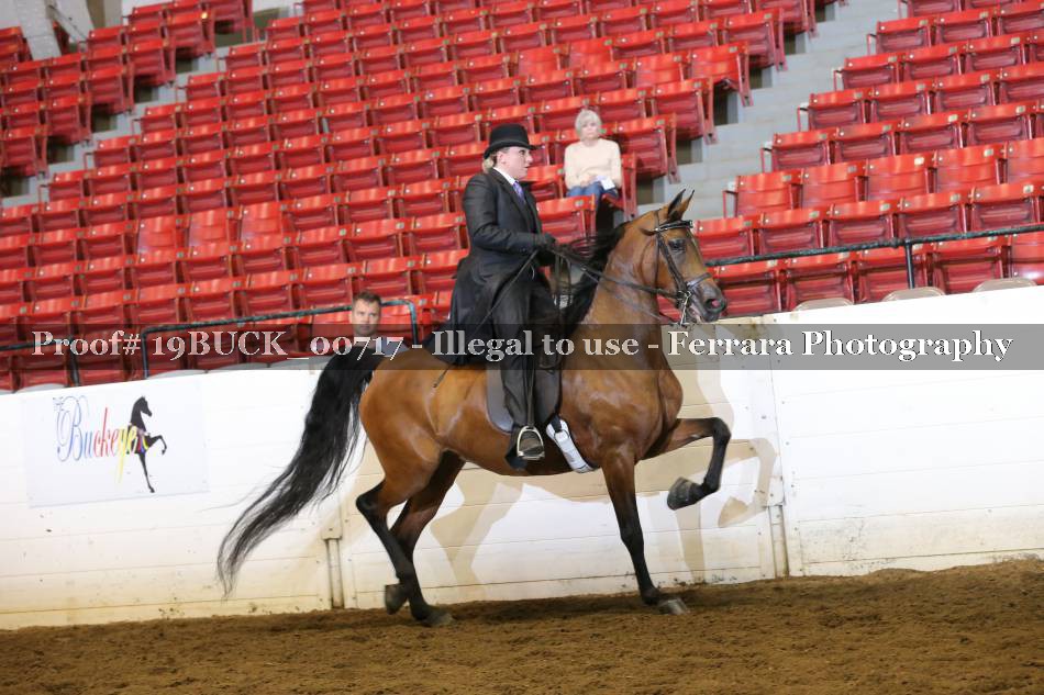 Proof Number 19BUCK_00717