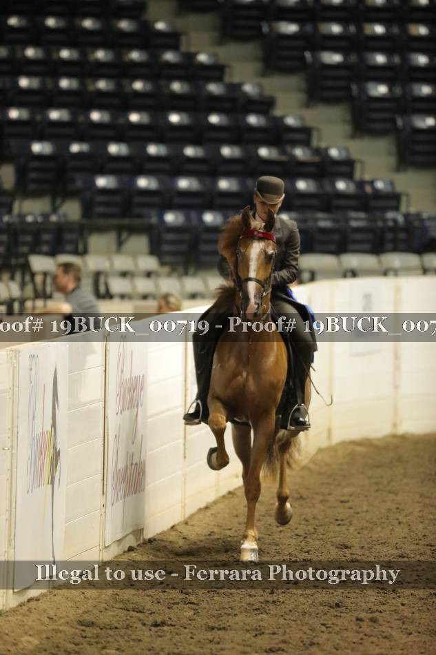Proof Number 19BUCK_00719