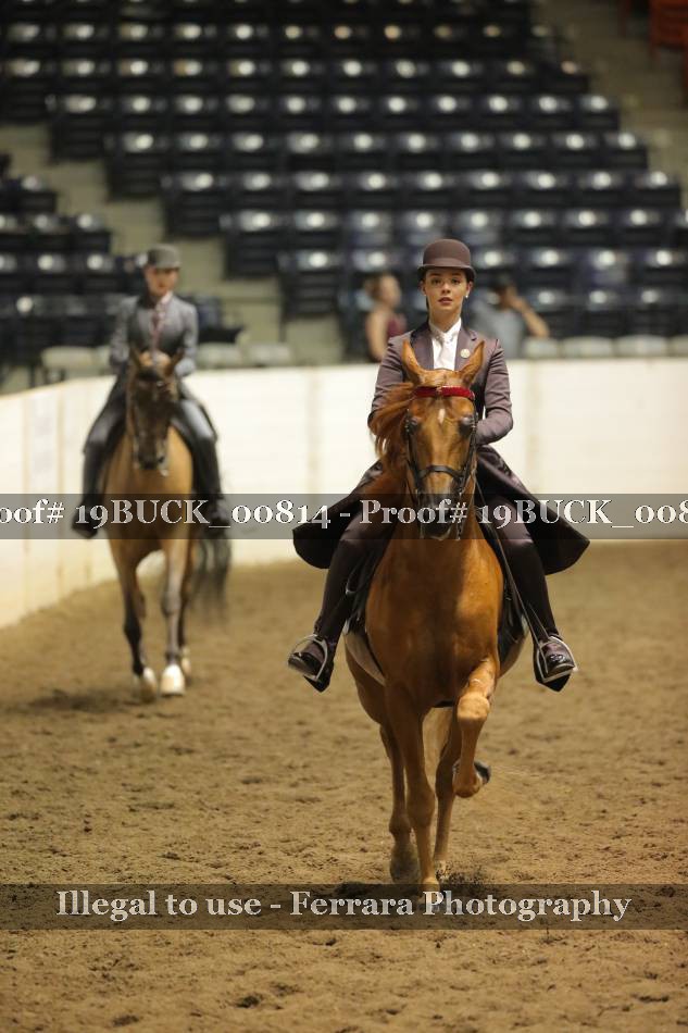 Proof Number 19BUCK_00814