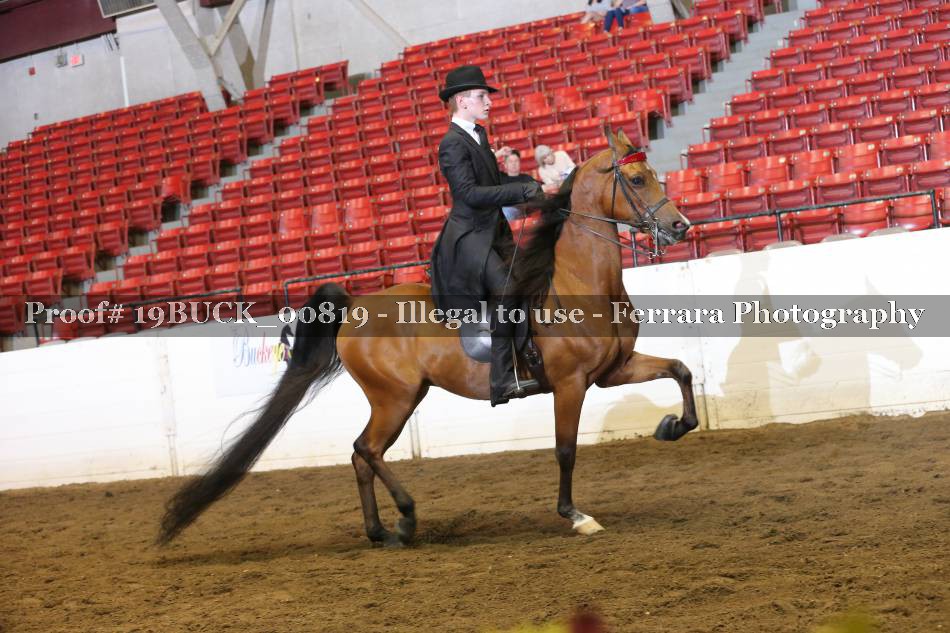 Proof Number 19BUCK_00819