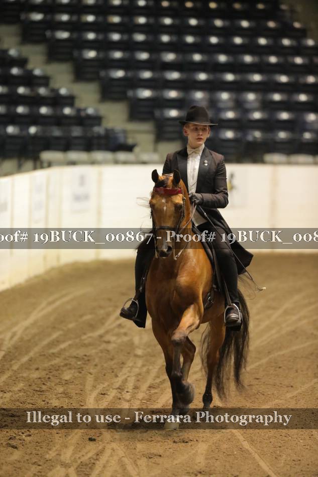 Proof Number 19BUCK_00867