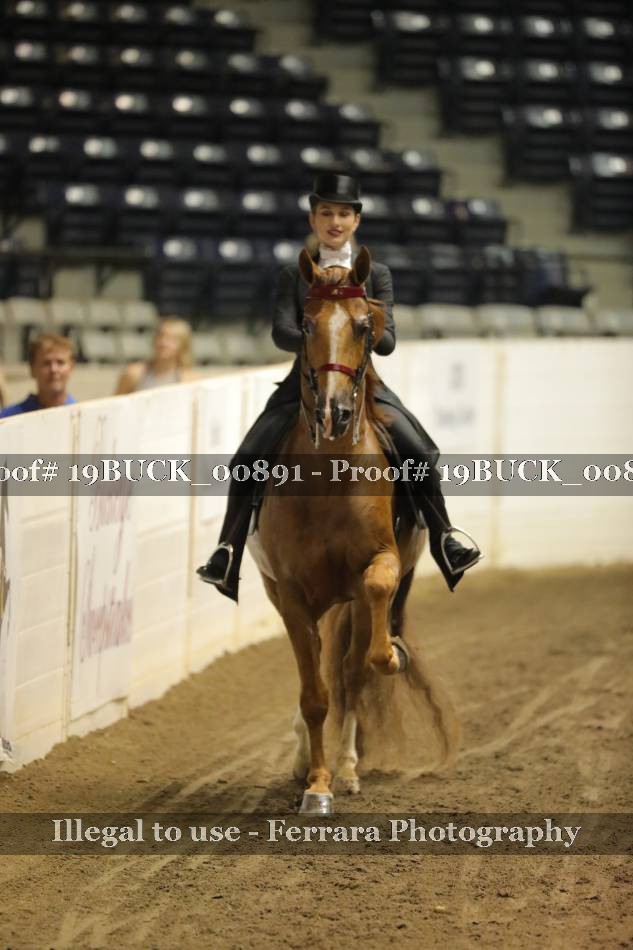 Proof Number 19BUCK_00891