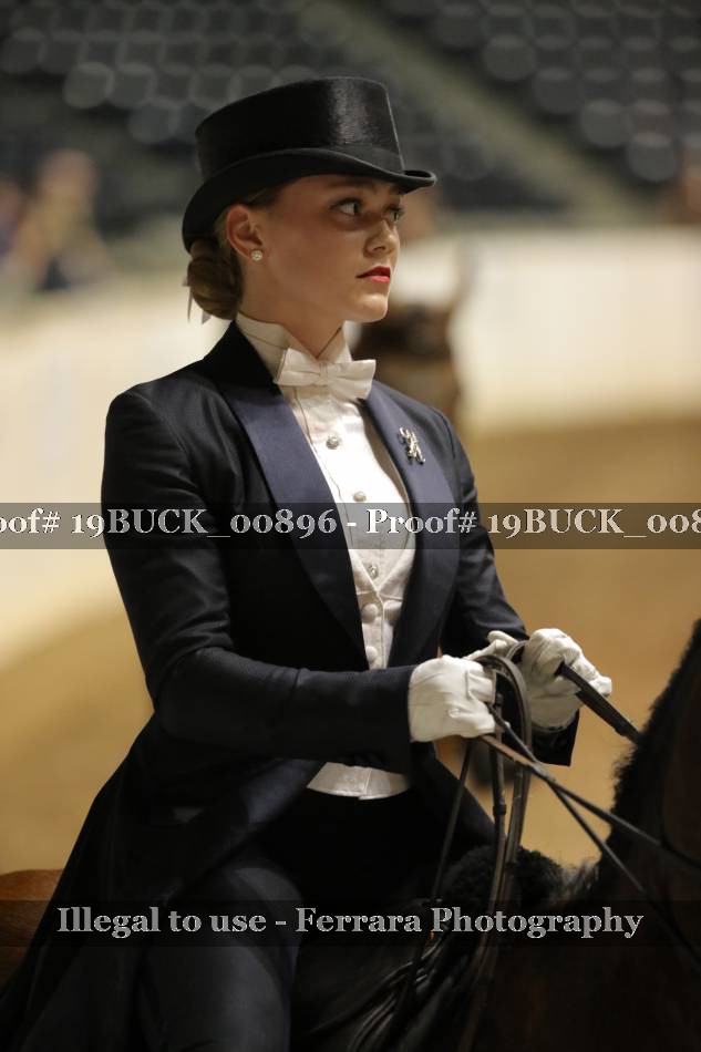 Proof Number 19BUCK_00896