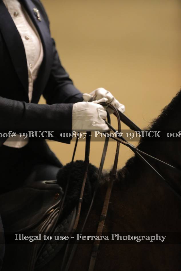 Proof Number 19BUCK_00897