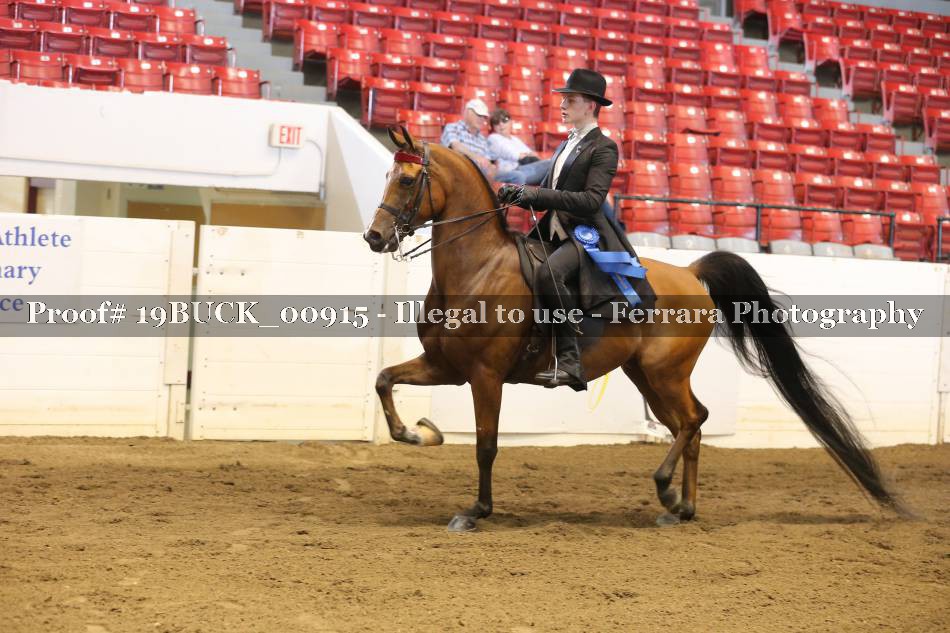 Proof Number 19BUCK_00915
