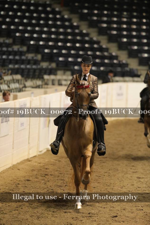 Proof Number 19BUCK_00972
