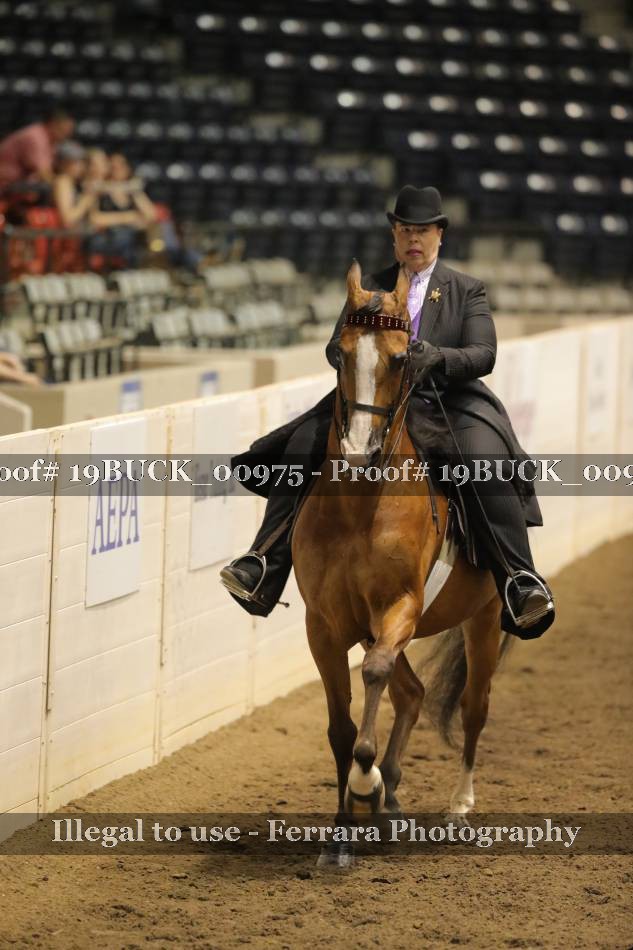 Proof Number 19BUCK_00975