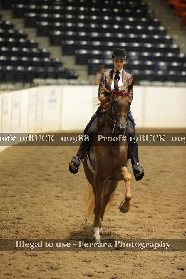 Proof Number 19BUCK_00988