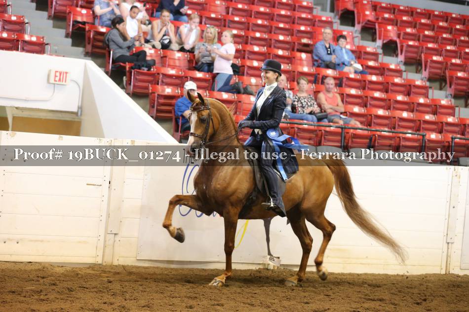 Proof Number 19BUCK_01274