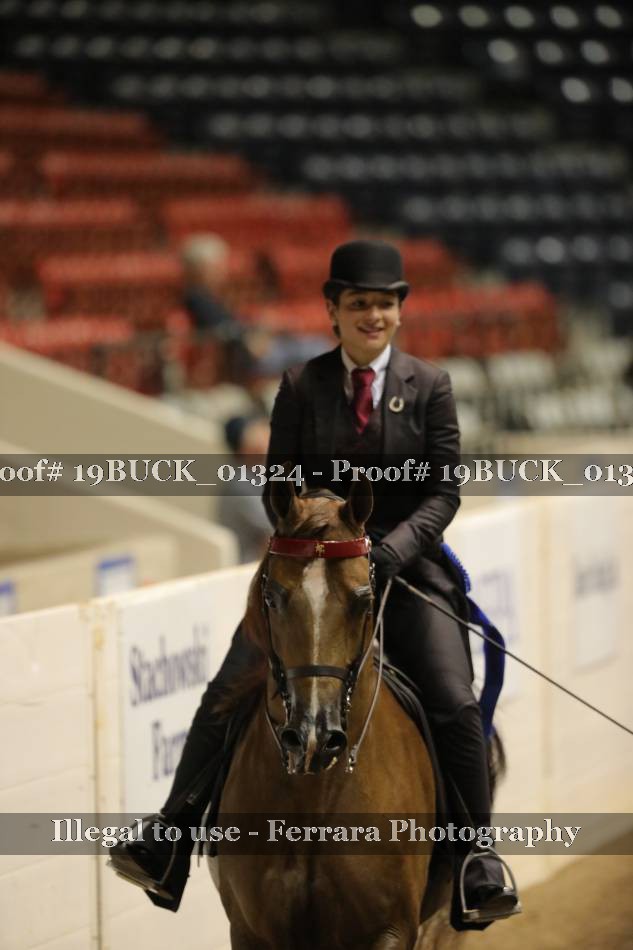 Proof Number 19BUCK_01324