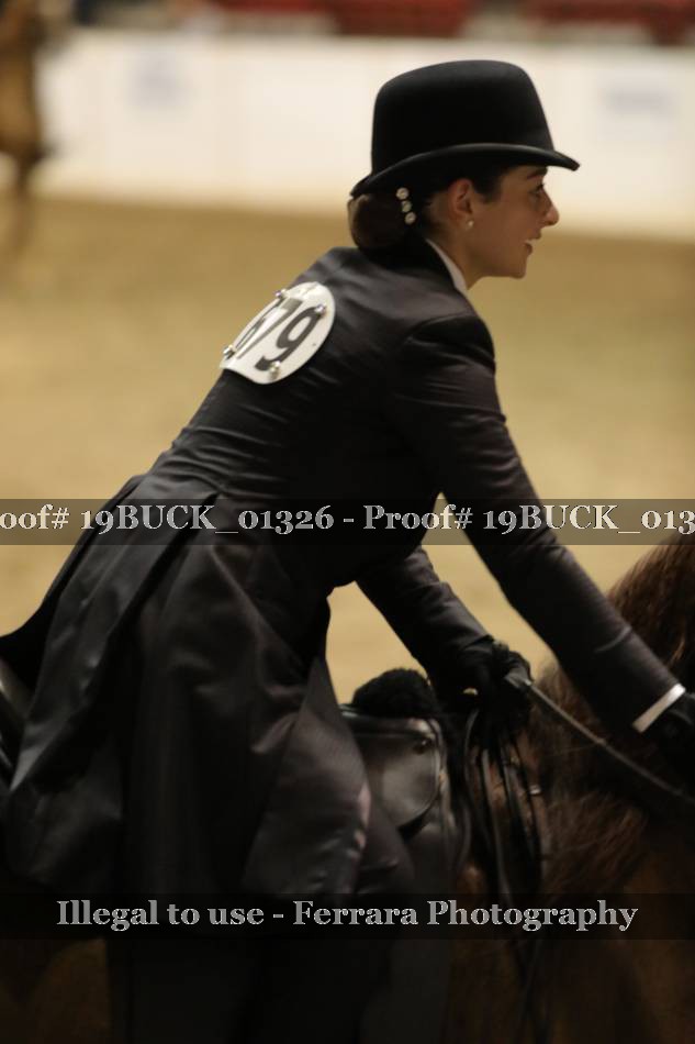 Proof Number 19BUCK_01326