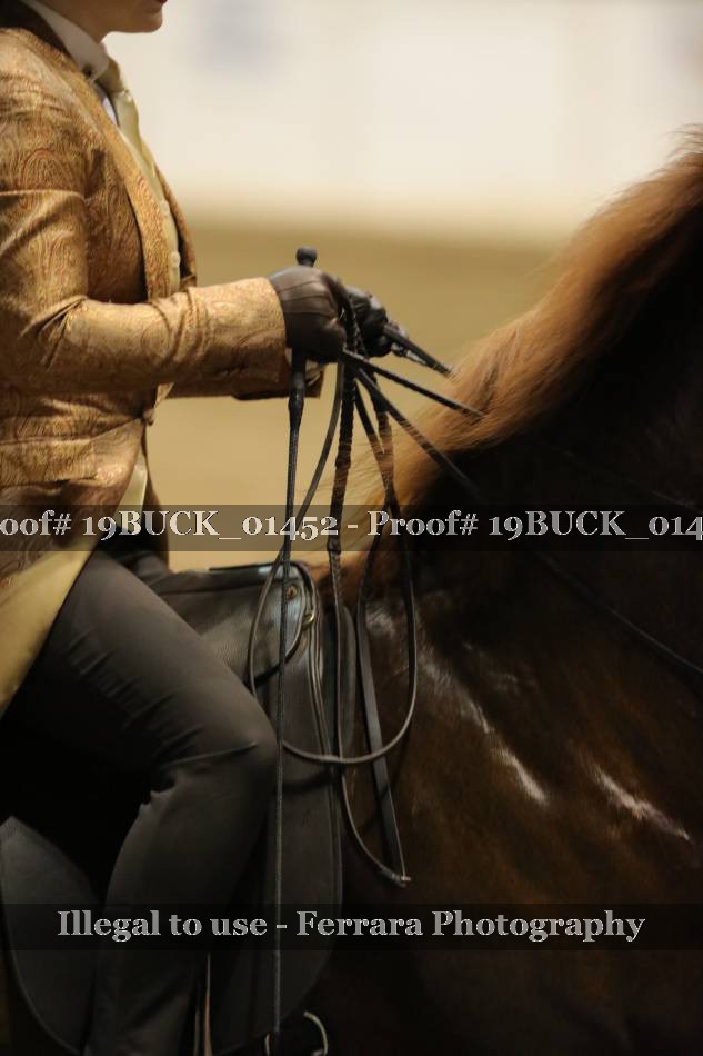 Proof Number 19BUCK_01452